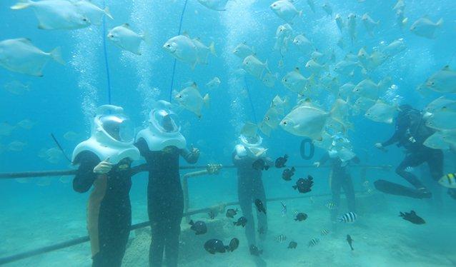复宏汉霖完成H药 斯鲁利单抗首批海外发货