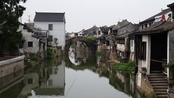 动物帮帮忙保卫家园