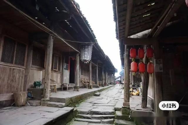 吴忠琼参加省政协十三届二次会议联组会议讨论